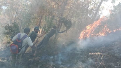 उत्तराखंड में 78 स्थानों पर लगी जंगल में आग, बागेश्वर में पांच मकान जले